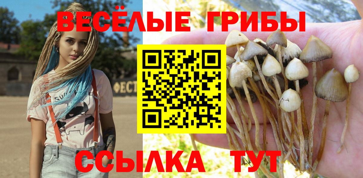 Лыткарино  Галлюциногенные грибы Psilocybine cubensis  Вход с VPN  купить наркотик  Галлюциногенные грибы Magic Shrooms 